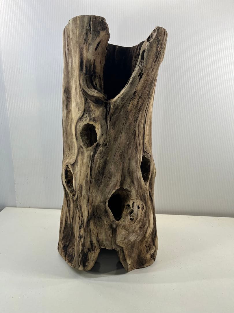 V95 アク抜き済み流木 爬虫類シェルター 登り木 インテリア 生け花