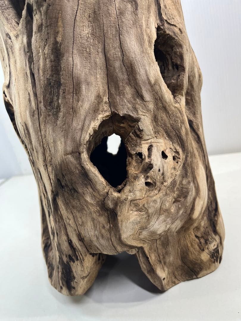 V95 アク抜き済み流木 爬虫類シェルター 登り木 インテリア 生け花