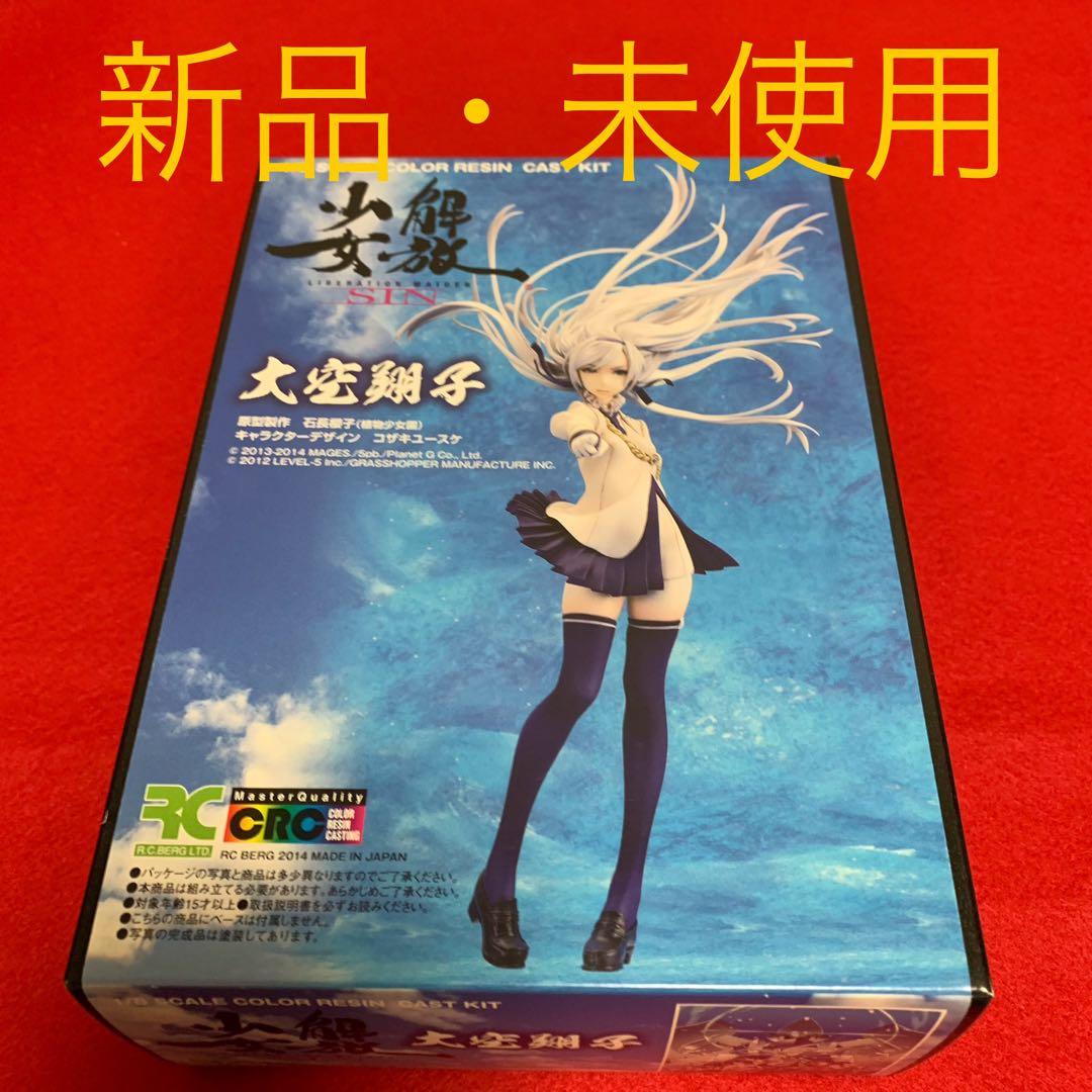 解放少女SIN 大空翔子 ガレージキット 新品・未組み立て 組み立て図付き