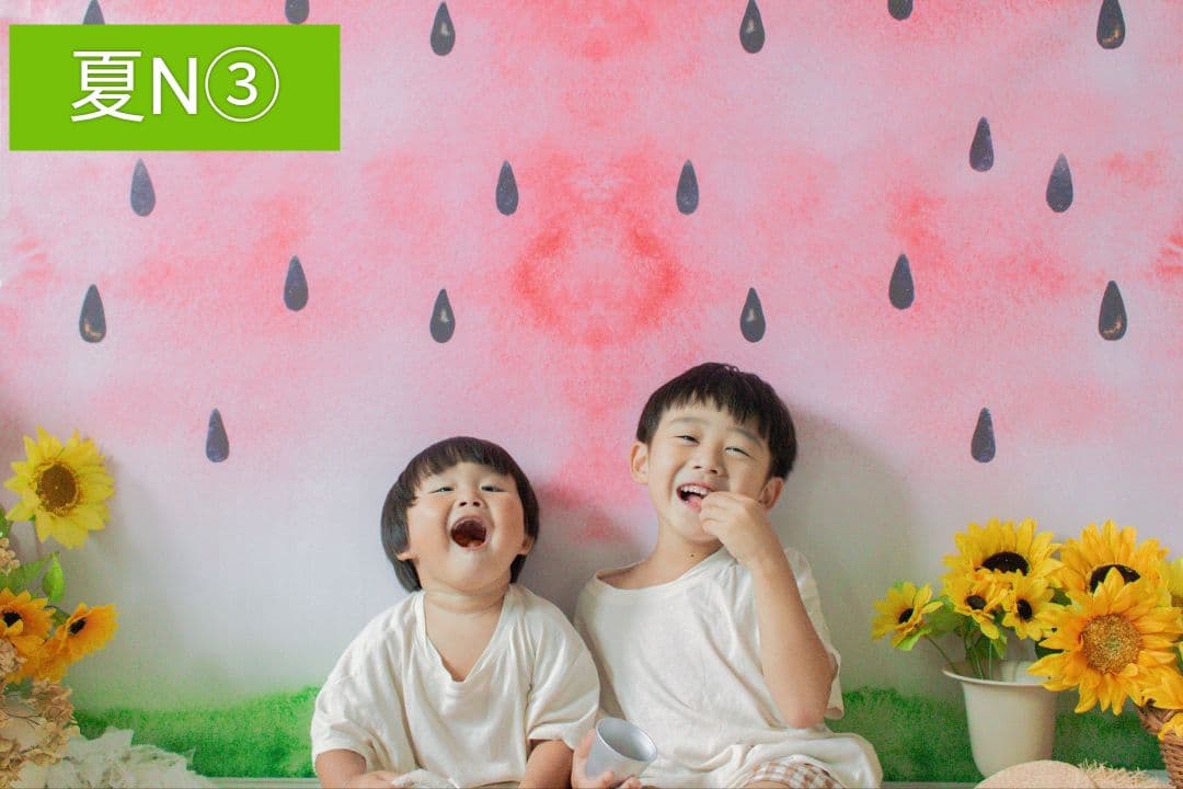 背景布×10枚+2　ペット撮影用フォトブース　トリミングチョーカー販売中