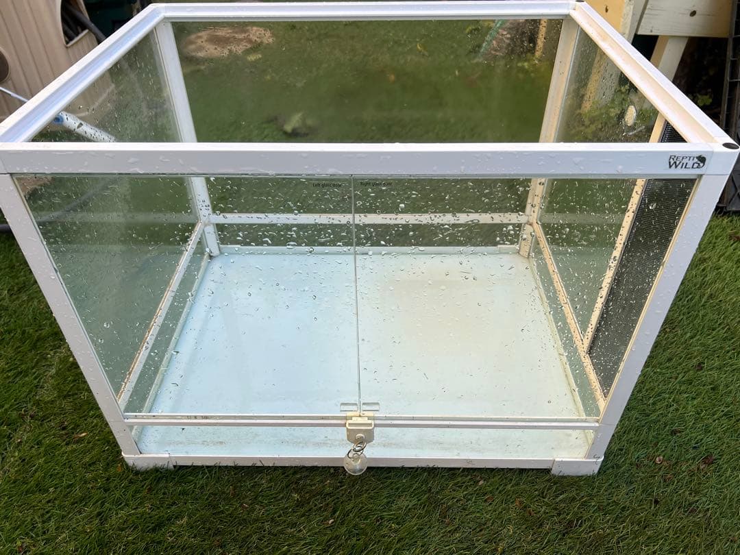 レプティワイルド パンテオンホワイト WH6045 三晃商会