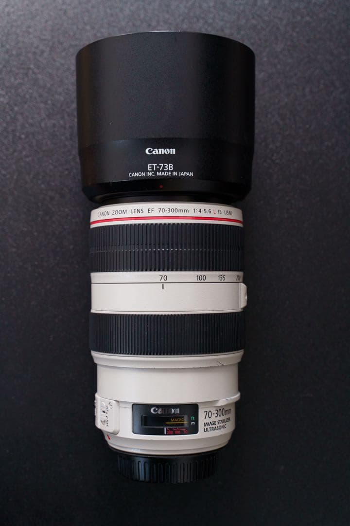 CANON EF70-300mm F4-5.6L IS USM 元箱付き
