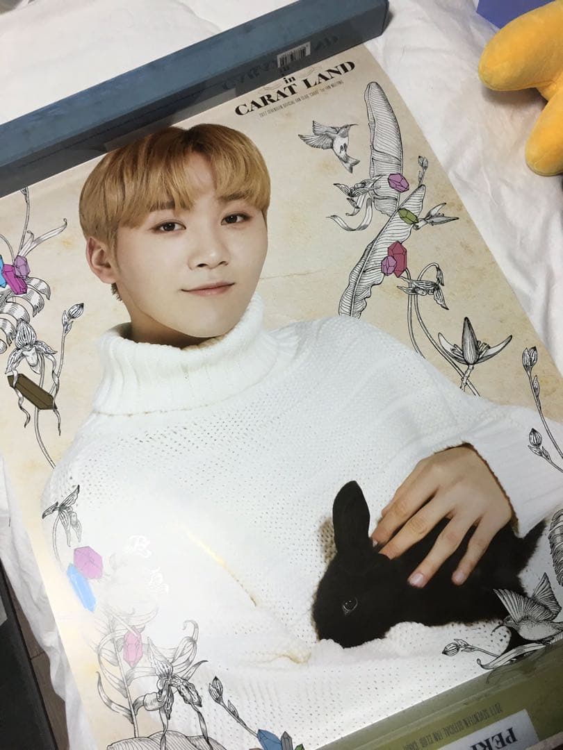 SEVENTEEN 2017 ペンミ ボカチ ポスターセット