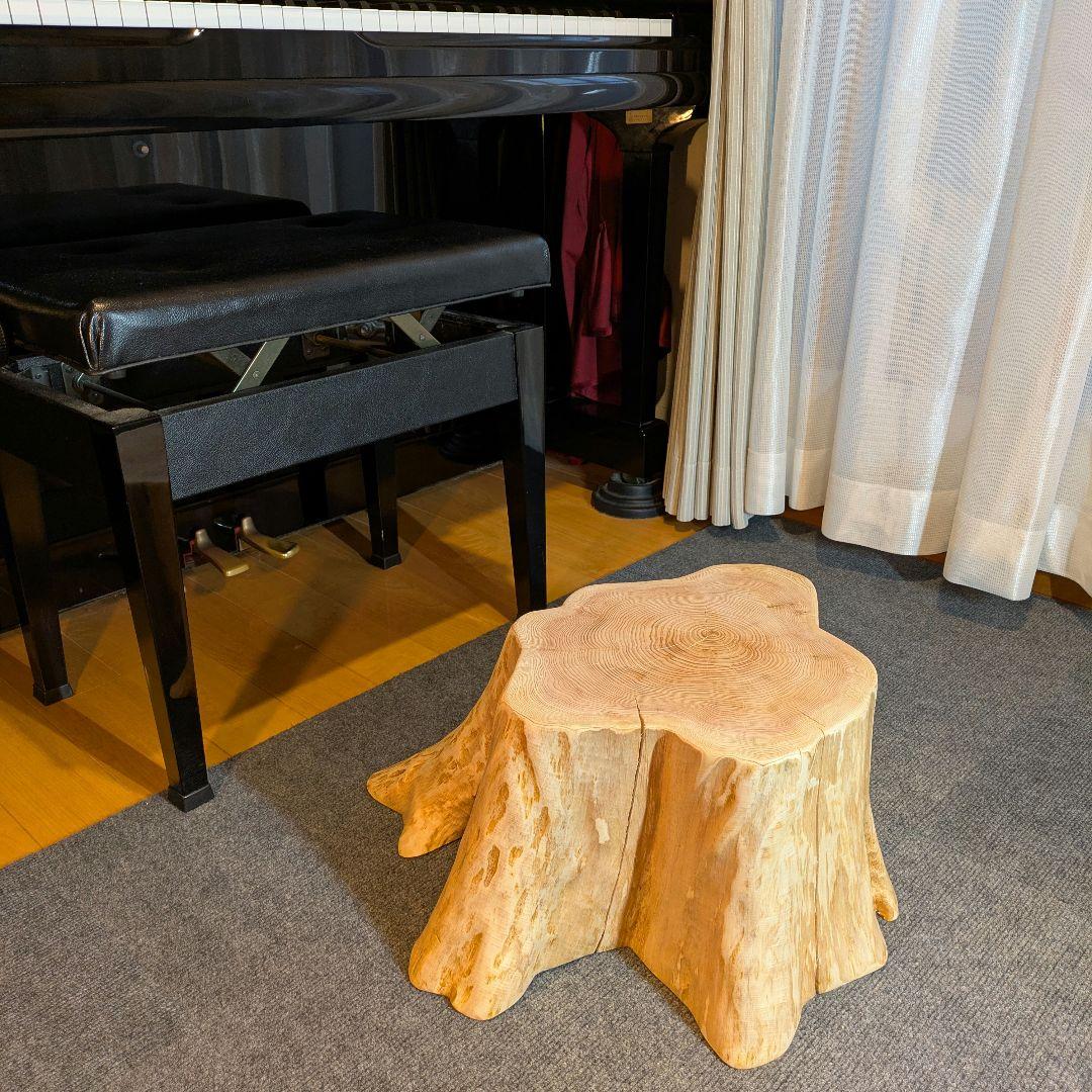 天然椹　サワラ　切り株　丸太　椅子　スツール　テーブル　高さ約23.5㎝