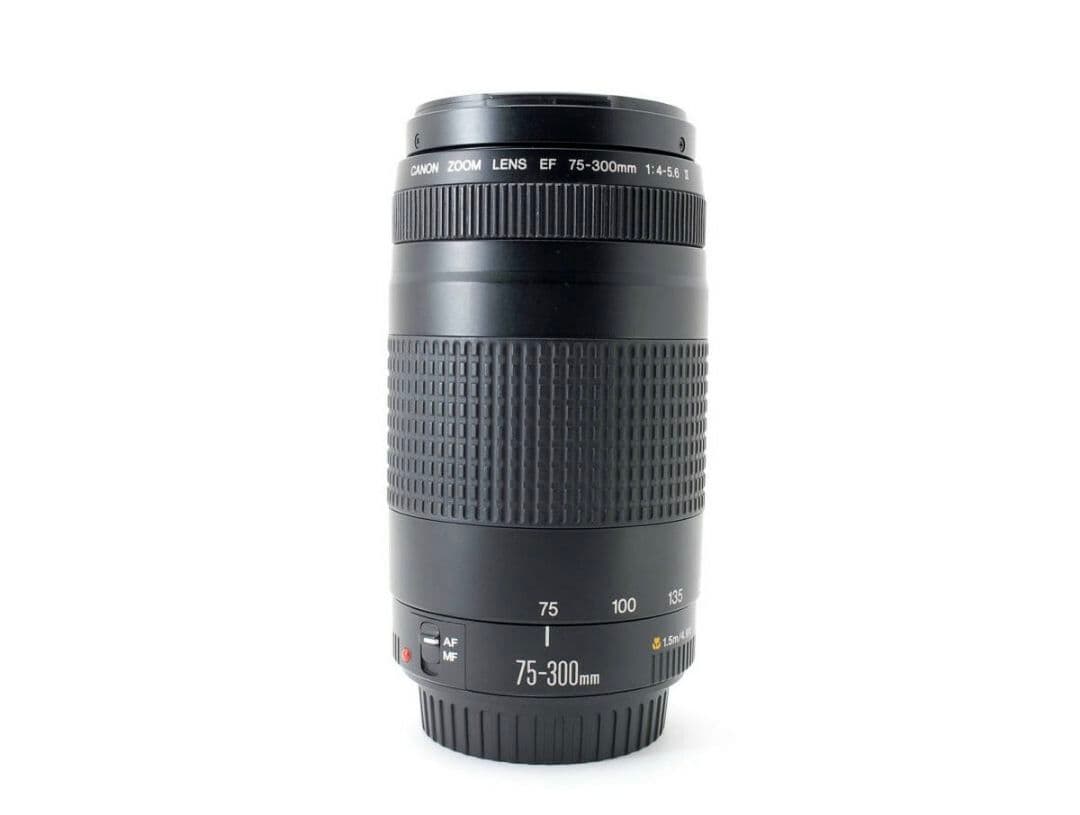 9月23日限定特価♪【超望遠レンズ】Canon EF 75-300mm Ⅱ