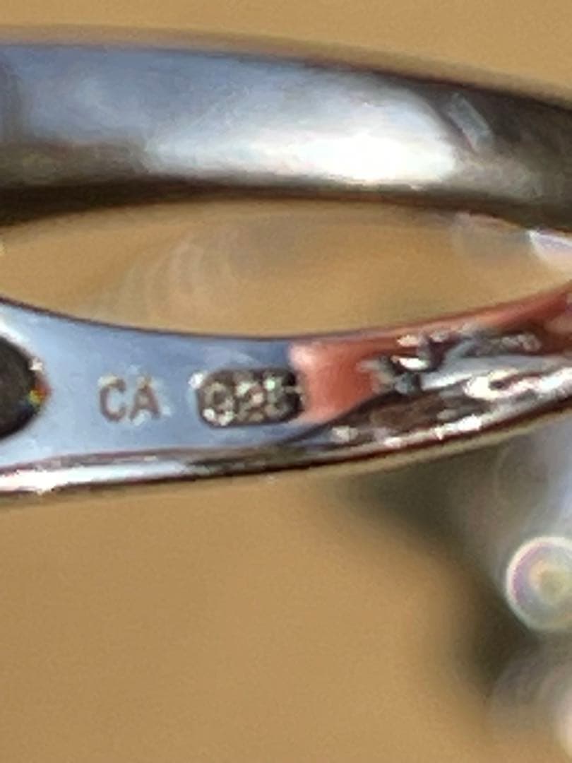 ジュエリーセット（リング・ネックレス・イヤリング）　925 多数刻印あり