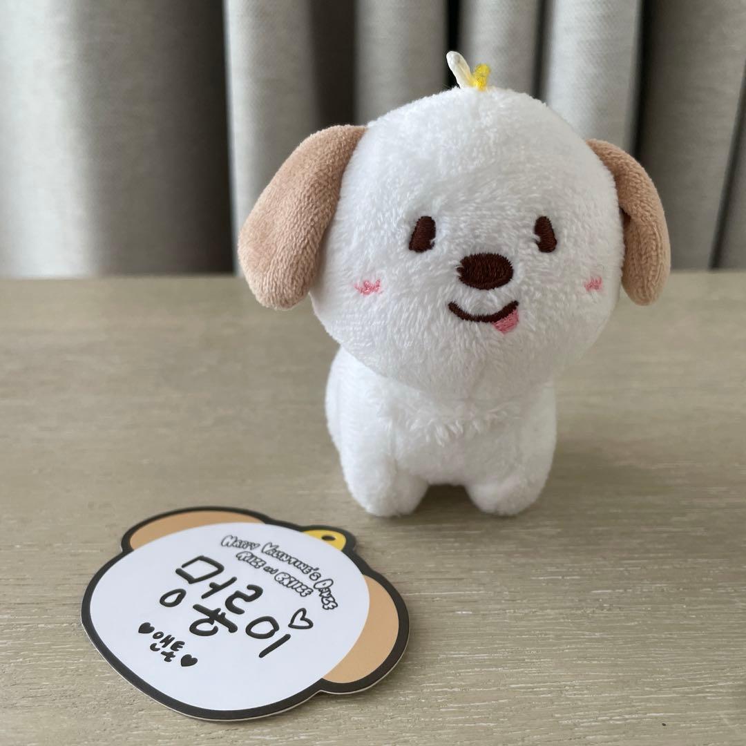 RIIZE アントン　ペンライトカバー　キーホルダー　シュシュ　ぬいぐるみ