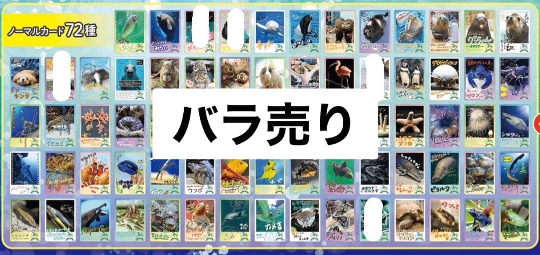 鳥羽水族館コレクションカード　バラ売り