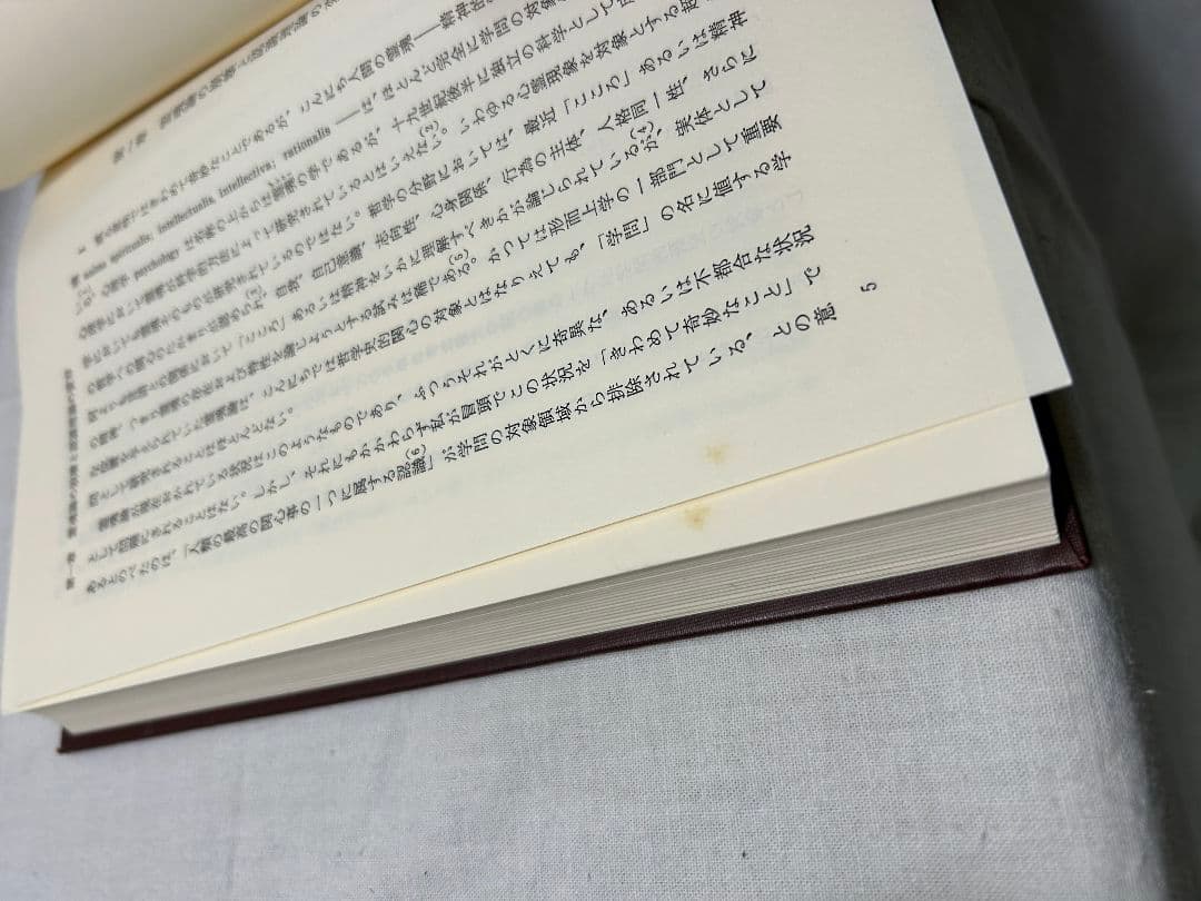 抽象と直観　中世後期認識理論の研究／稲垣良典／ 創文社