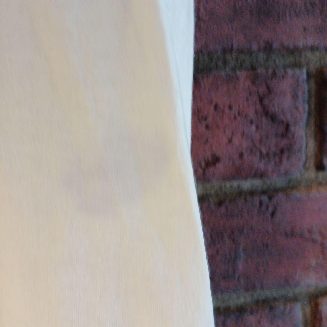 barbiebeeba [プロ必読]専用 ビンテージ ミッキー Tシャツ 古着