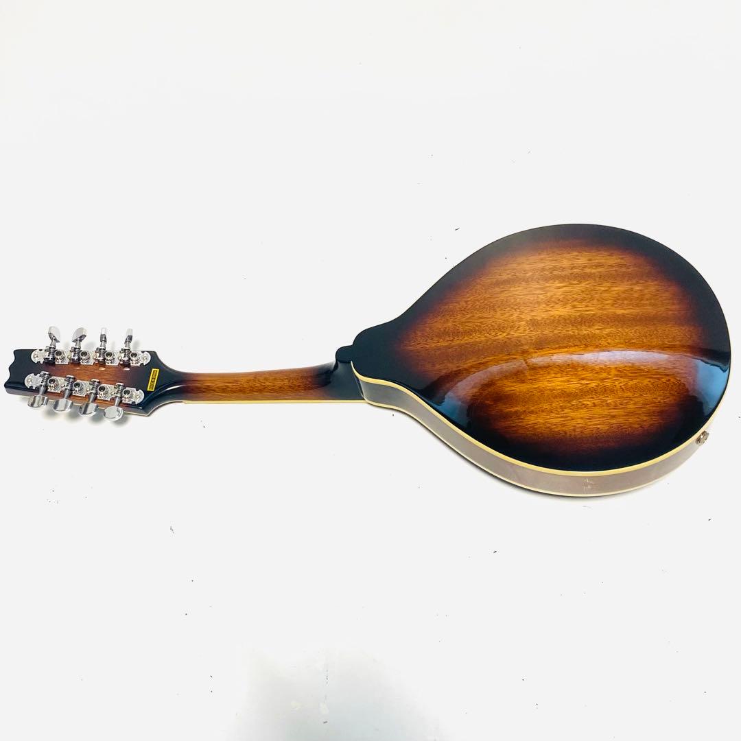 K.Garage VM-6E フラットマンドリン ハードケース付き