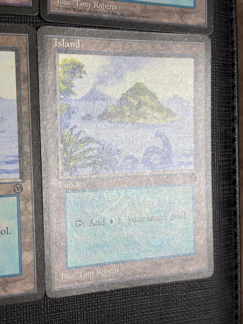 初代アリーナランド 島