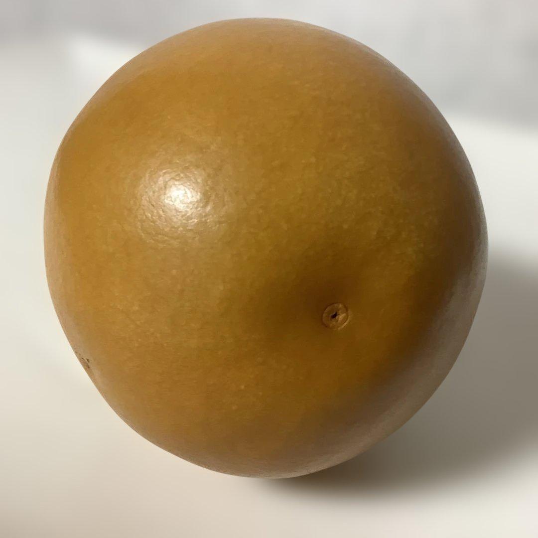 瓢栄 作 瓢箪 ひょうたん 花器 華道具 古美術 壁掛け 高さ　花瓶 瓢箪型