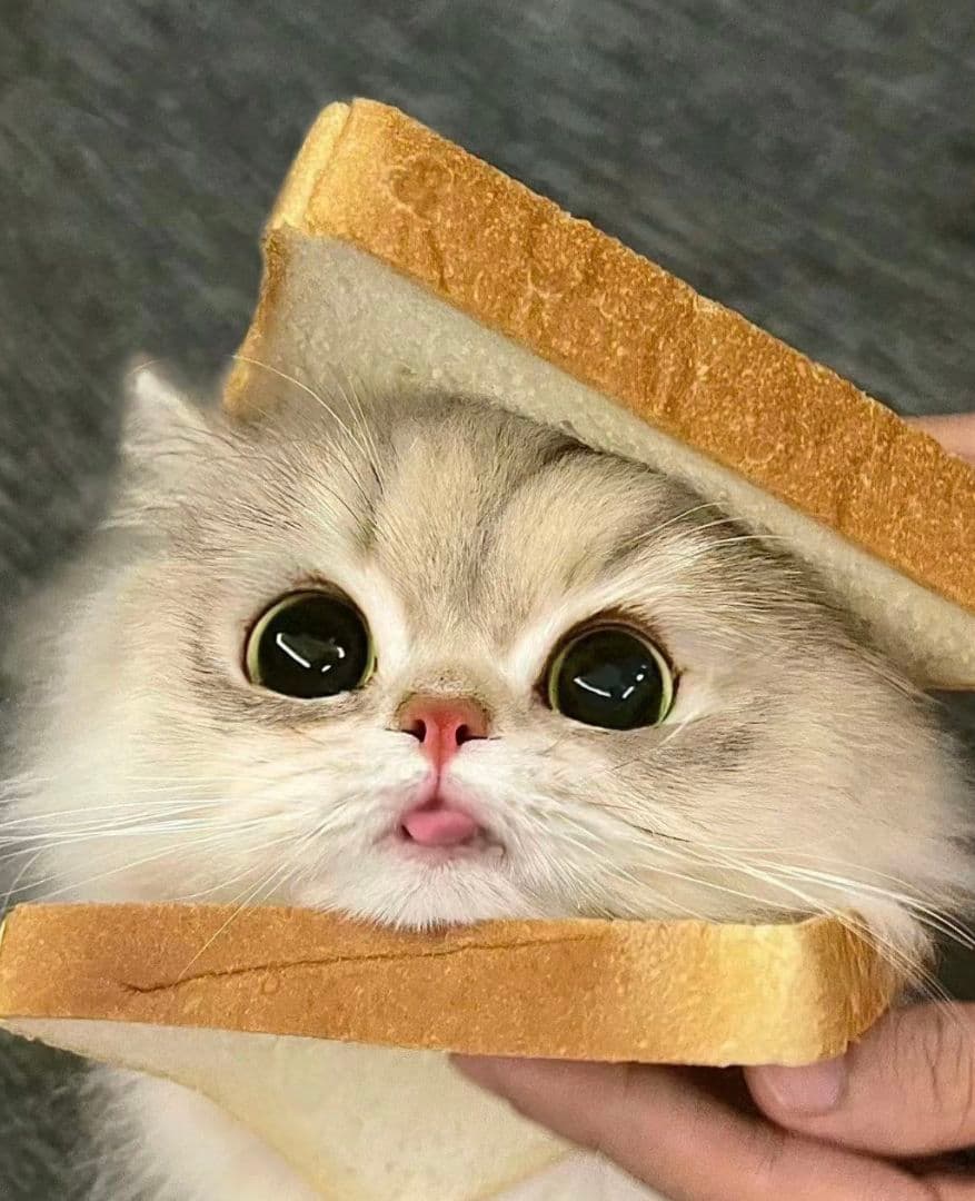 ミキ様、専用ページ