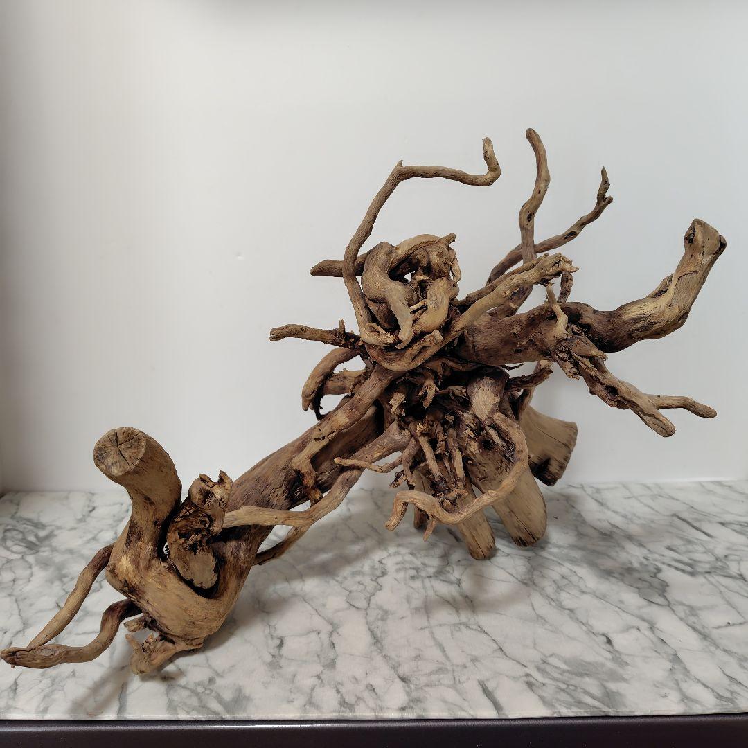 アク抜き済み流木【860】セール