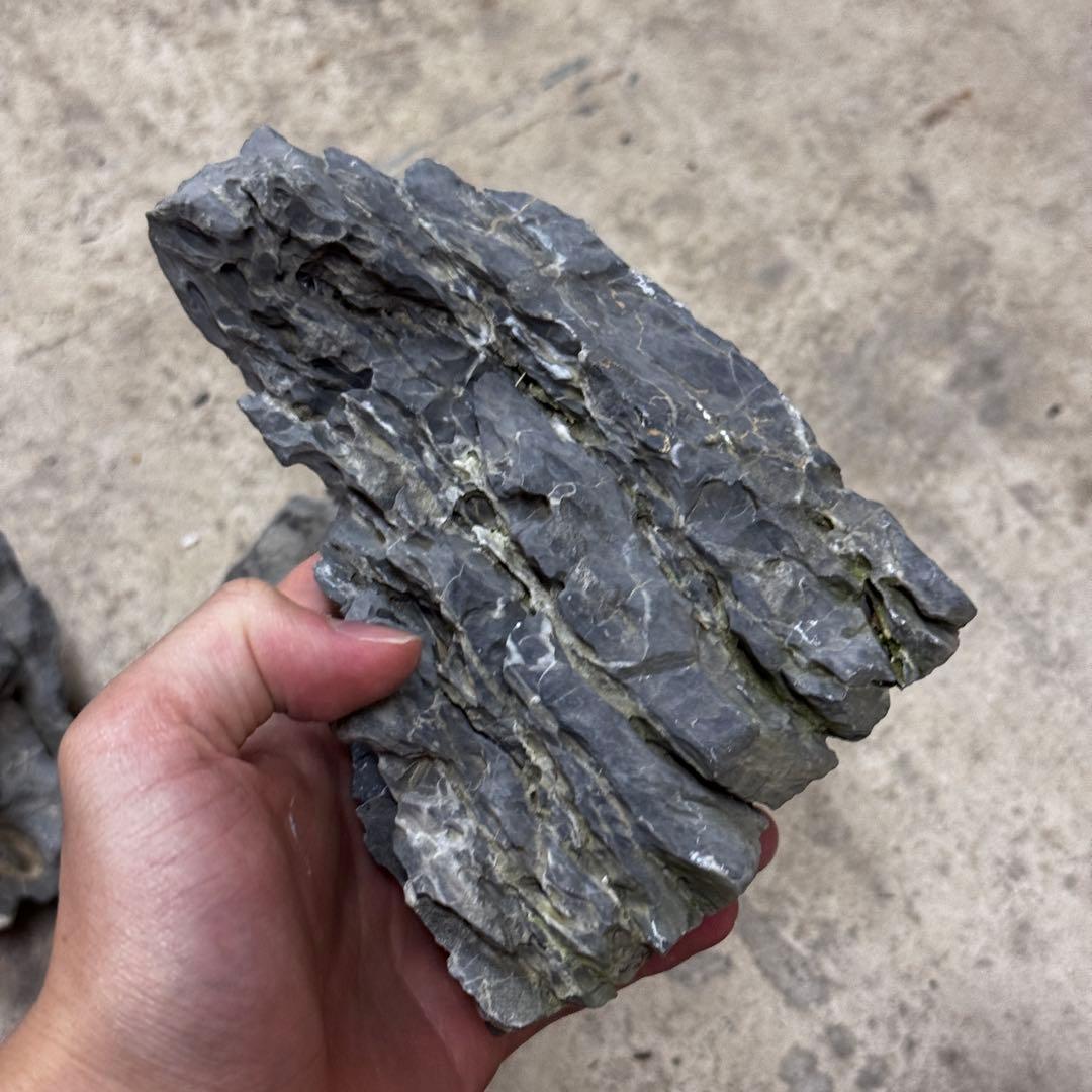 ADA龍王石 竜王石　セット　良型　1