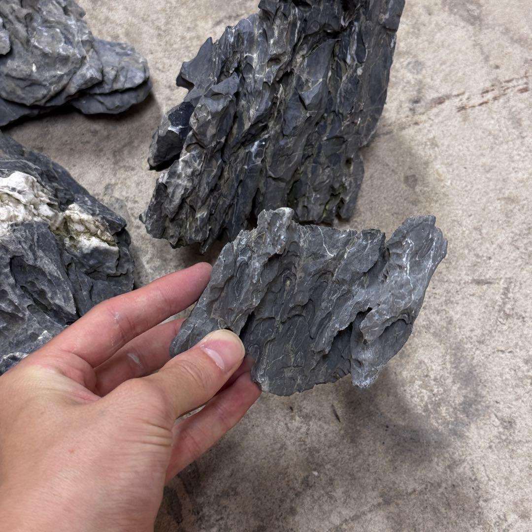 ADA龍王石 竜王石　セット　良型　1