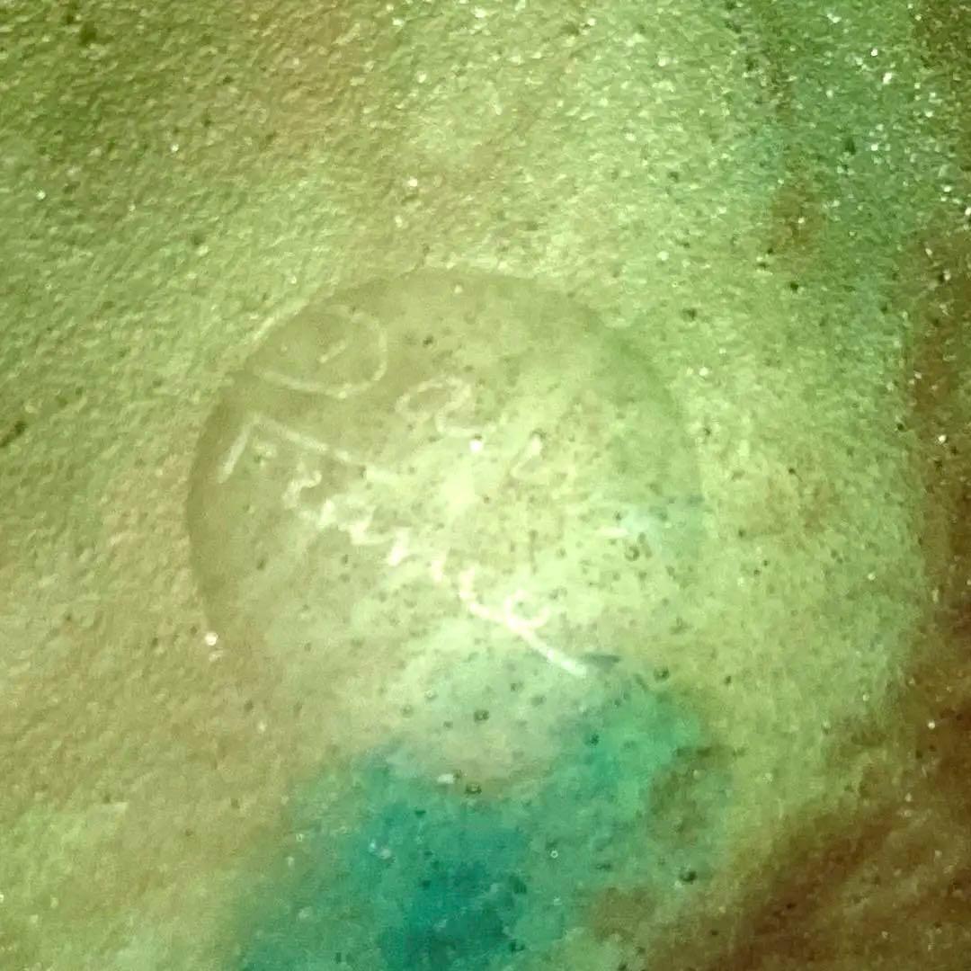 Daum　ドーム　フラワーベース　ヘビ