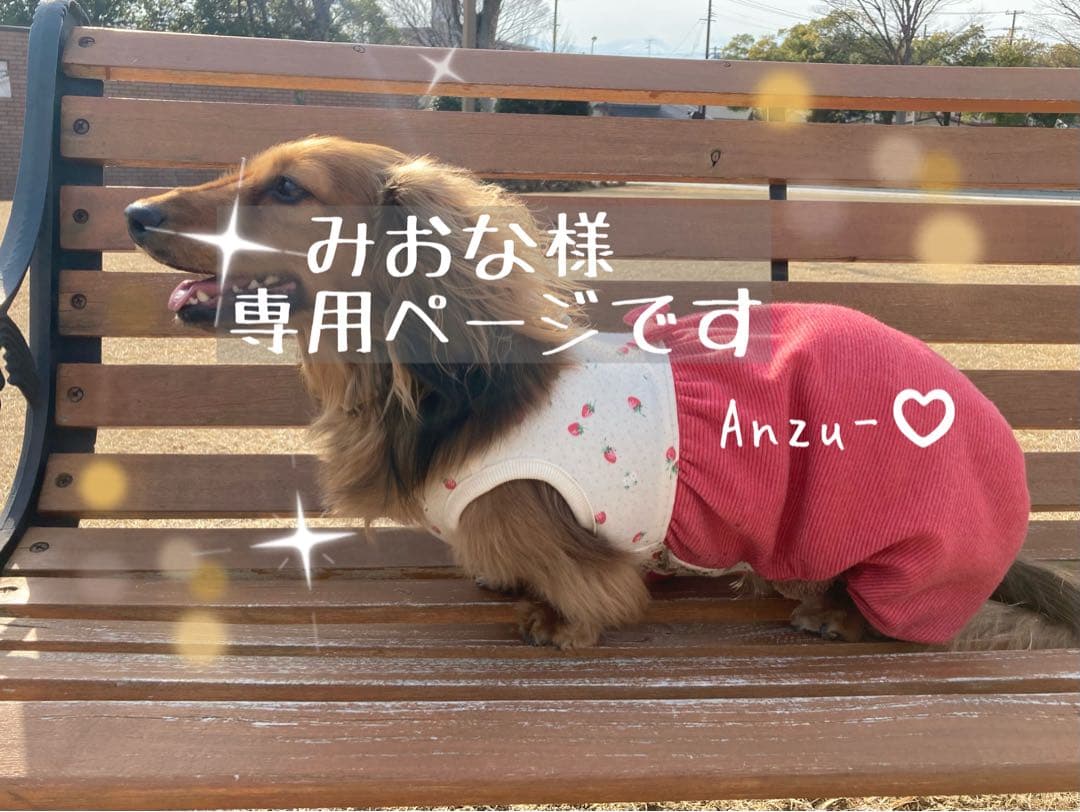 みおなページです　ダックス　犬服　ロンパース　犬の服　ダックスフンド