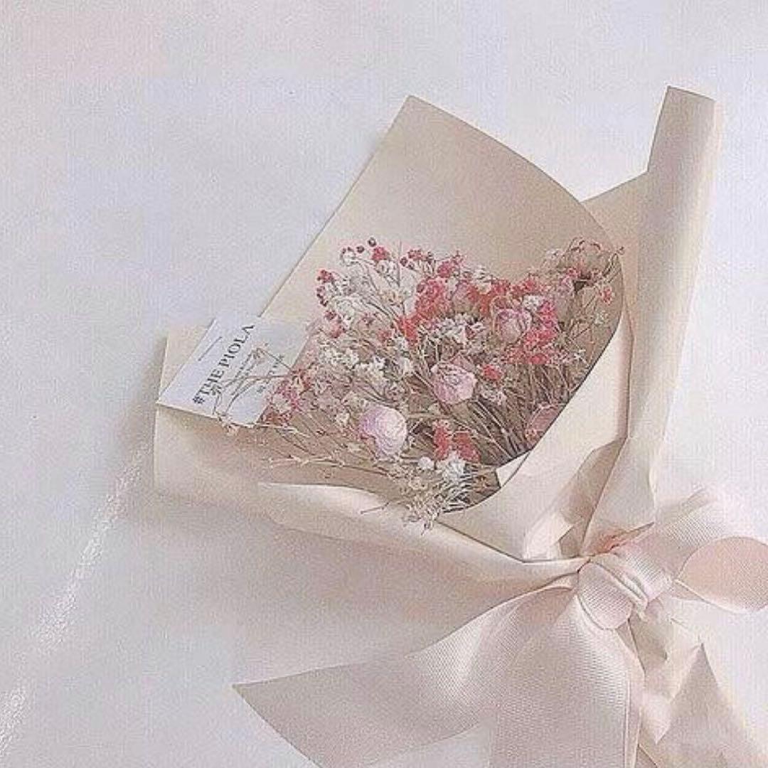 いかのおすし様 ❻⑫