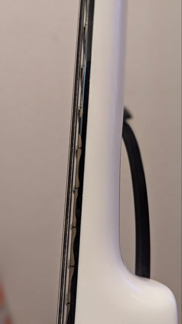 スタインバーガー　シナプス　 Steinberger Synapse