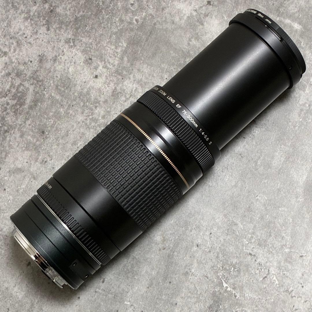⭐️美品⭐️Canon EF 75-300 II & EF-EOS R アダプター