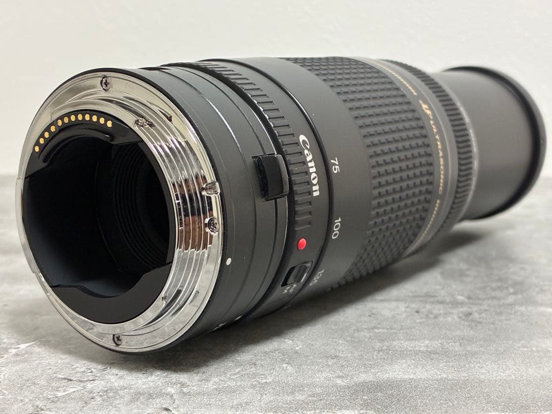 ⭐️美品⭐️Canon EF 75-300 II & EF-EOS R アダプター