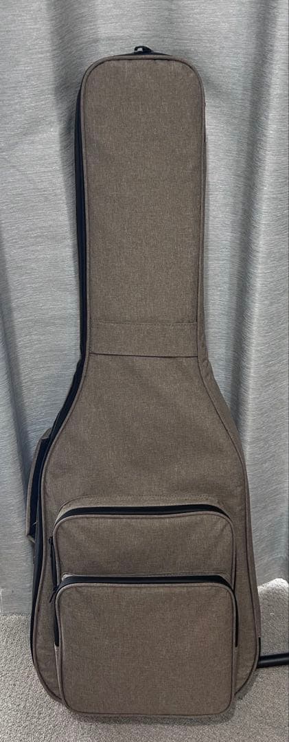 ギター FUJIGEN FGN J-Standard JST-5M