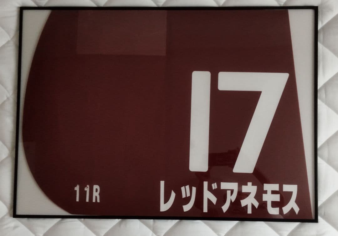 実使用ゼッケン G2 競馬 レッドアネモス【額入り】