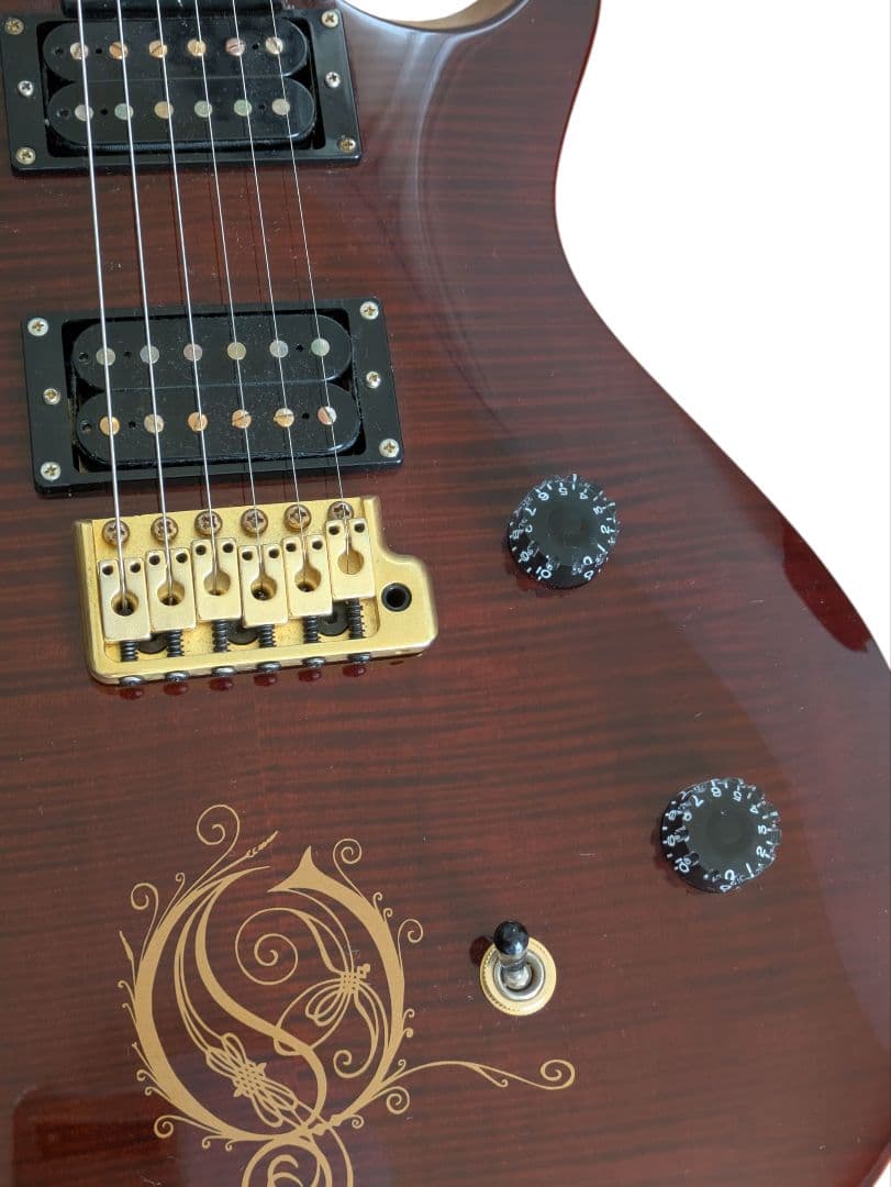 PRS ポールリードスミス SE エレキギター