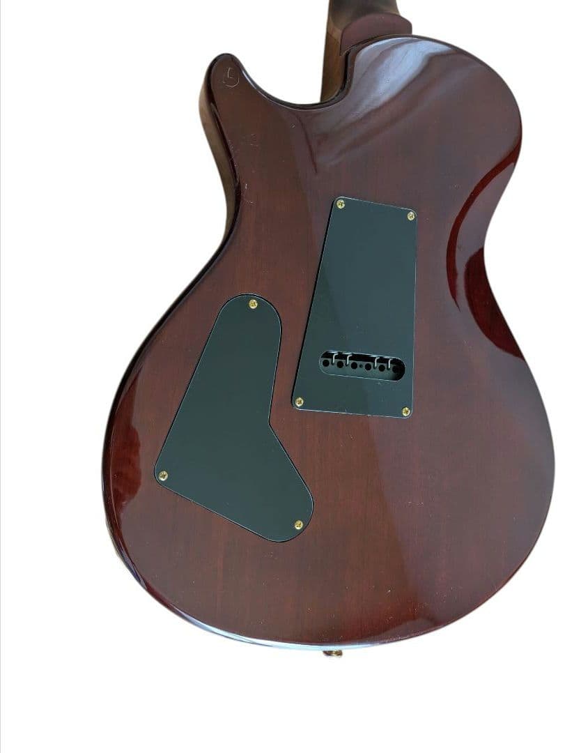 PRS ポールリードスミス SE エレキギター