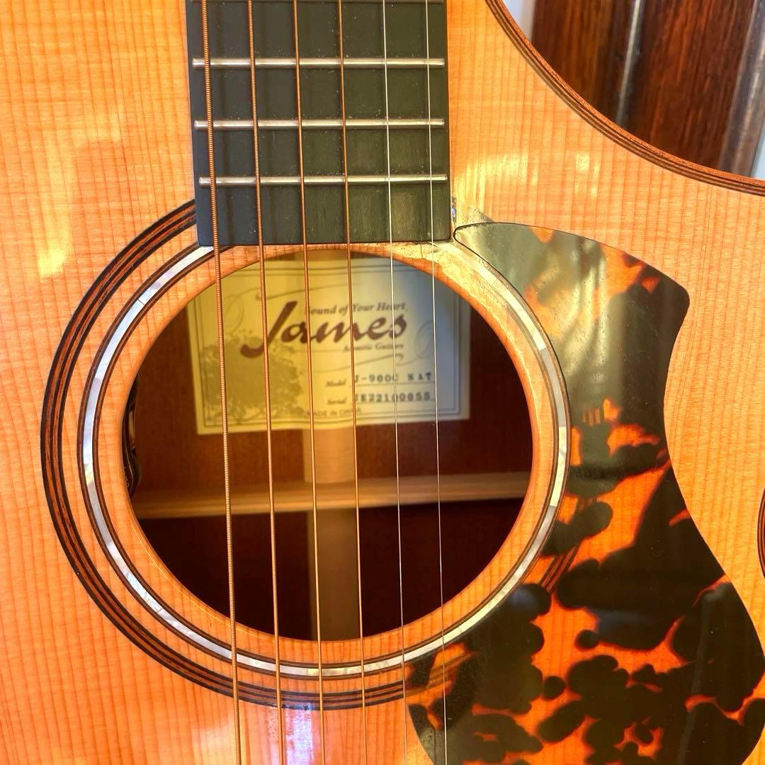 エレアコJames J-900/C オール単板 美品 ギグバック付属