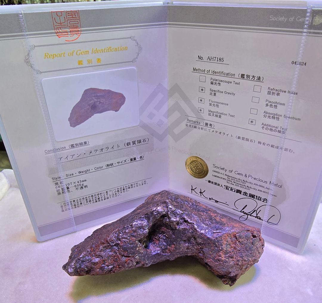 ⑥　隕石　メテオライト　カンポデルシエロ