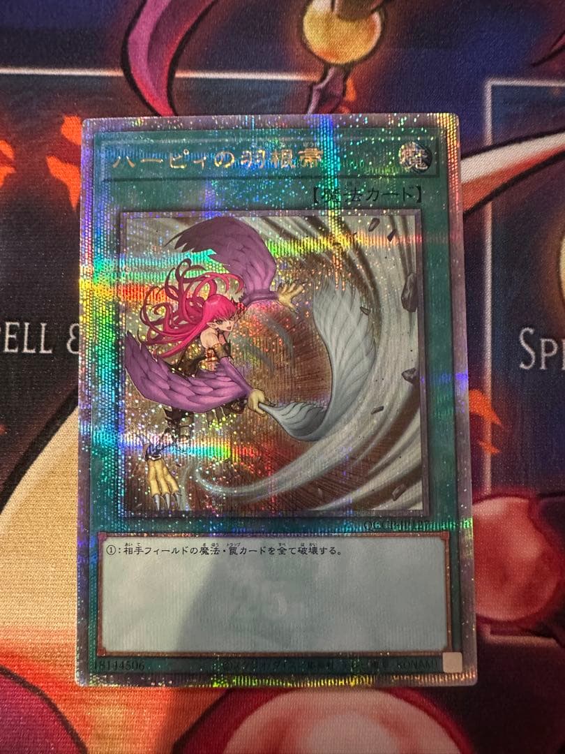 ハーピィの羽根帚　25thシク　絵違い