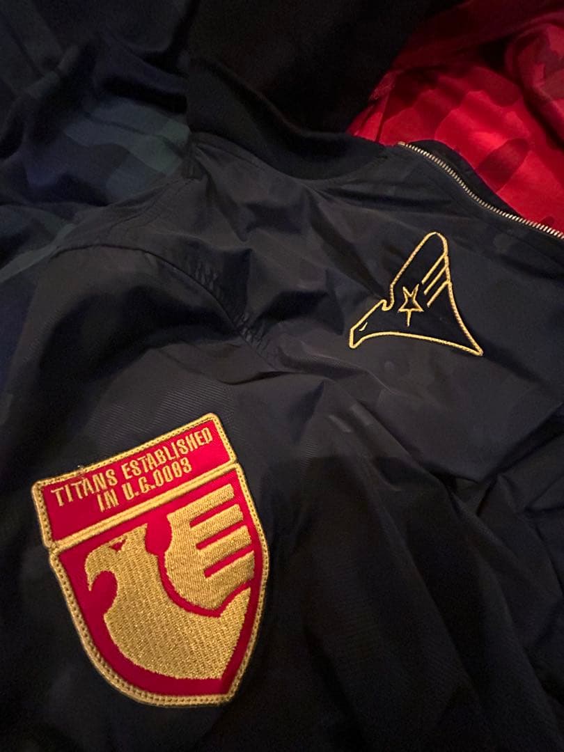 XL MA-1 ALPHA ガンダム限定INDUSTRIES 綿ヌキ フード