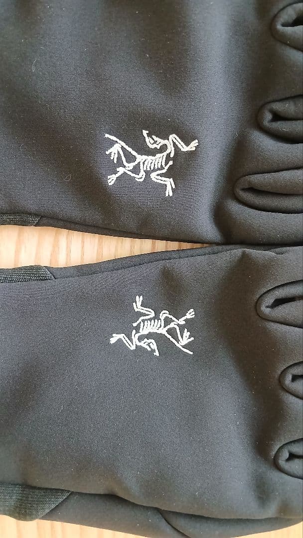 ヒ*ロ様 【再出品】ARC'TERYX　VEATA GLOVE　M　(落札者辞退