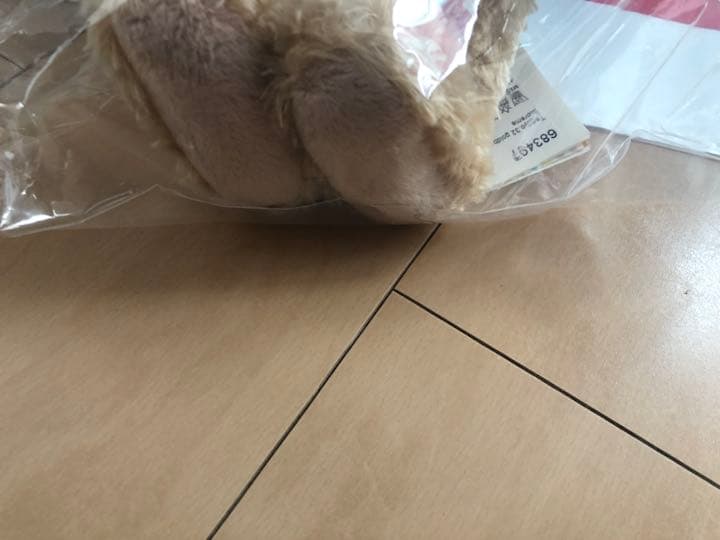 Supreme®/Steiff® Bear、クマ