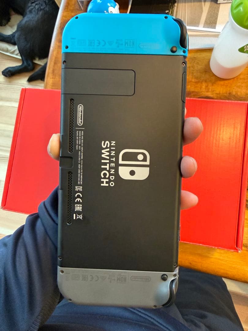 Nintendo Switch 本体　ケースのおまけ付き