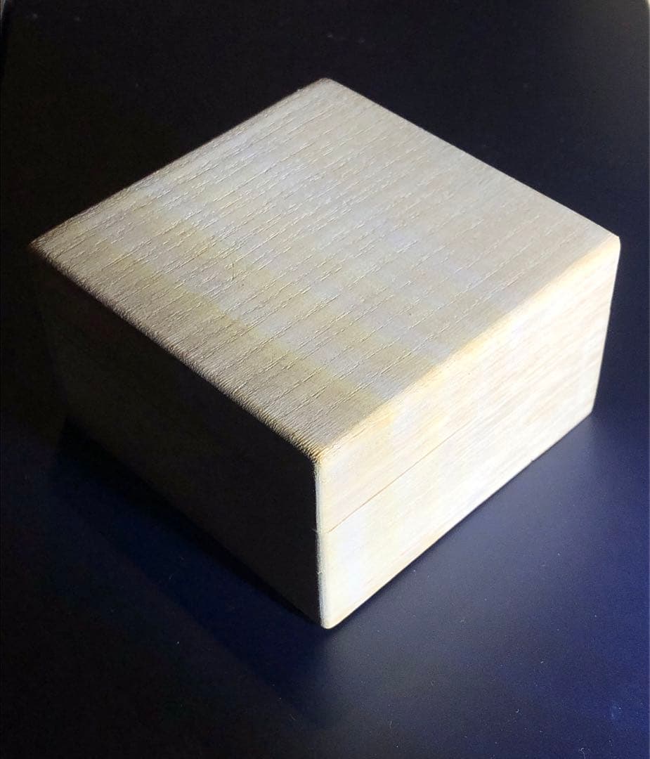 海鳴りさん専用出品　満田晴穂氏作品　自在置物　マイマイカブリ