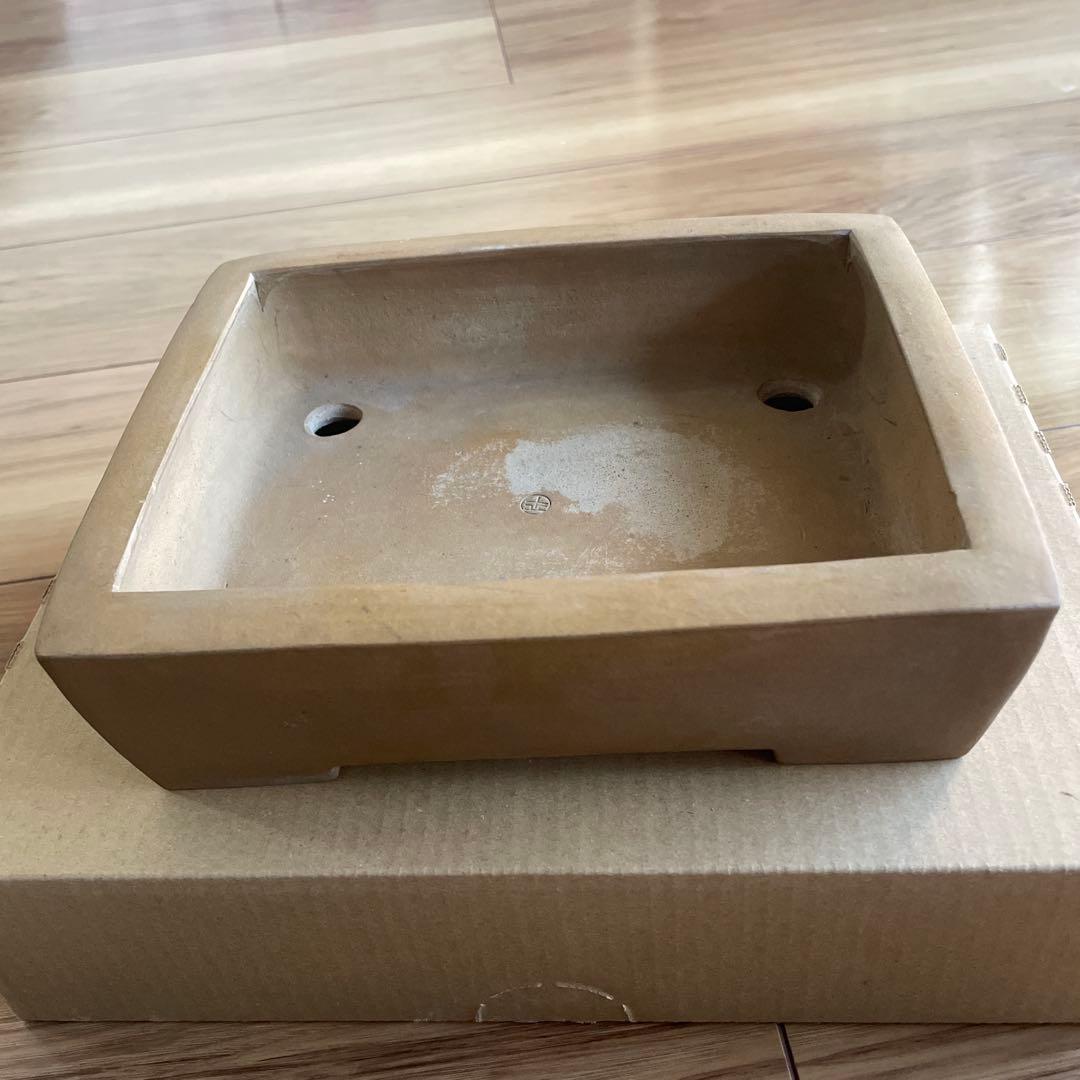 盆栽鉢　植木鉢　落款印　長方形　大きめ　シンプル　山野草