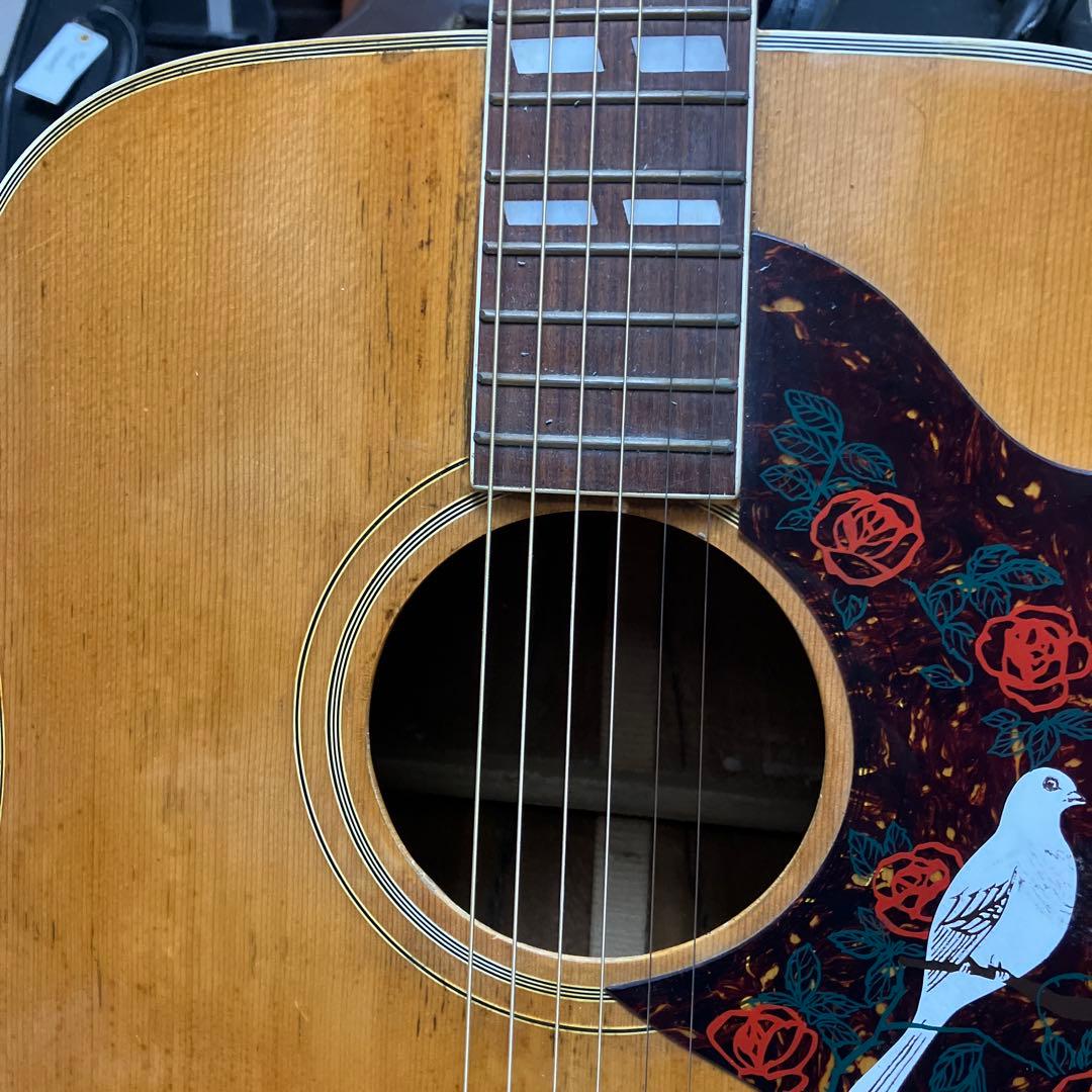 ジャパンヴィンテージ　ギター　DOVE