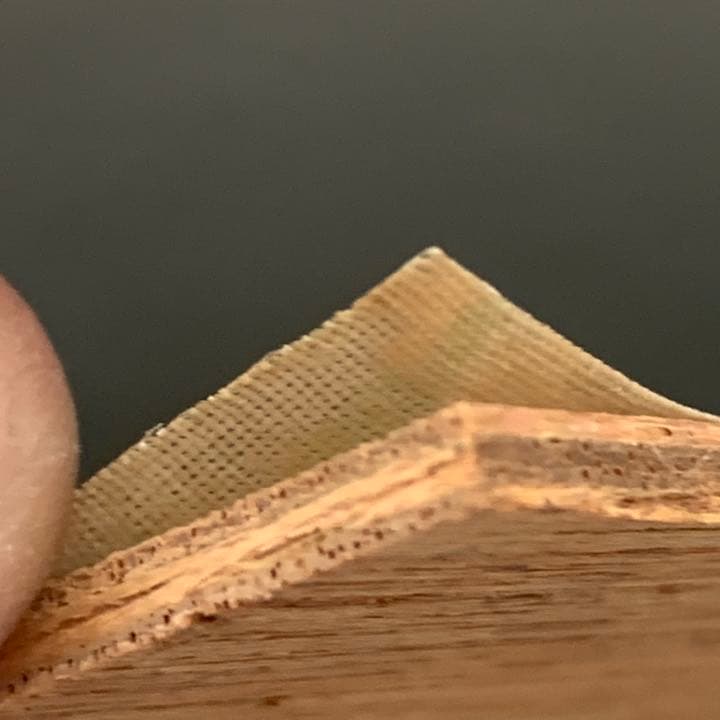 金島桂華 眞筆保證書 初夏 日本画家　金島　桂華