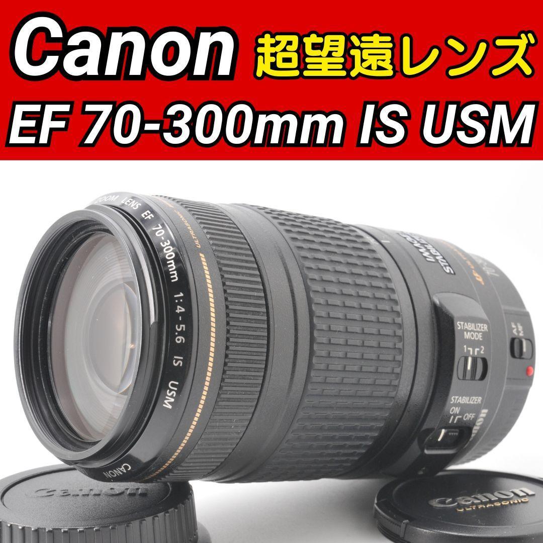 Canon EF 70-300mm F4-5.6 IS USM ✨ 超望遠レンズ