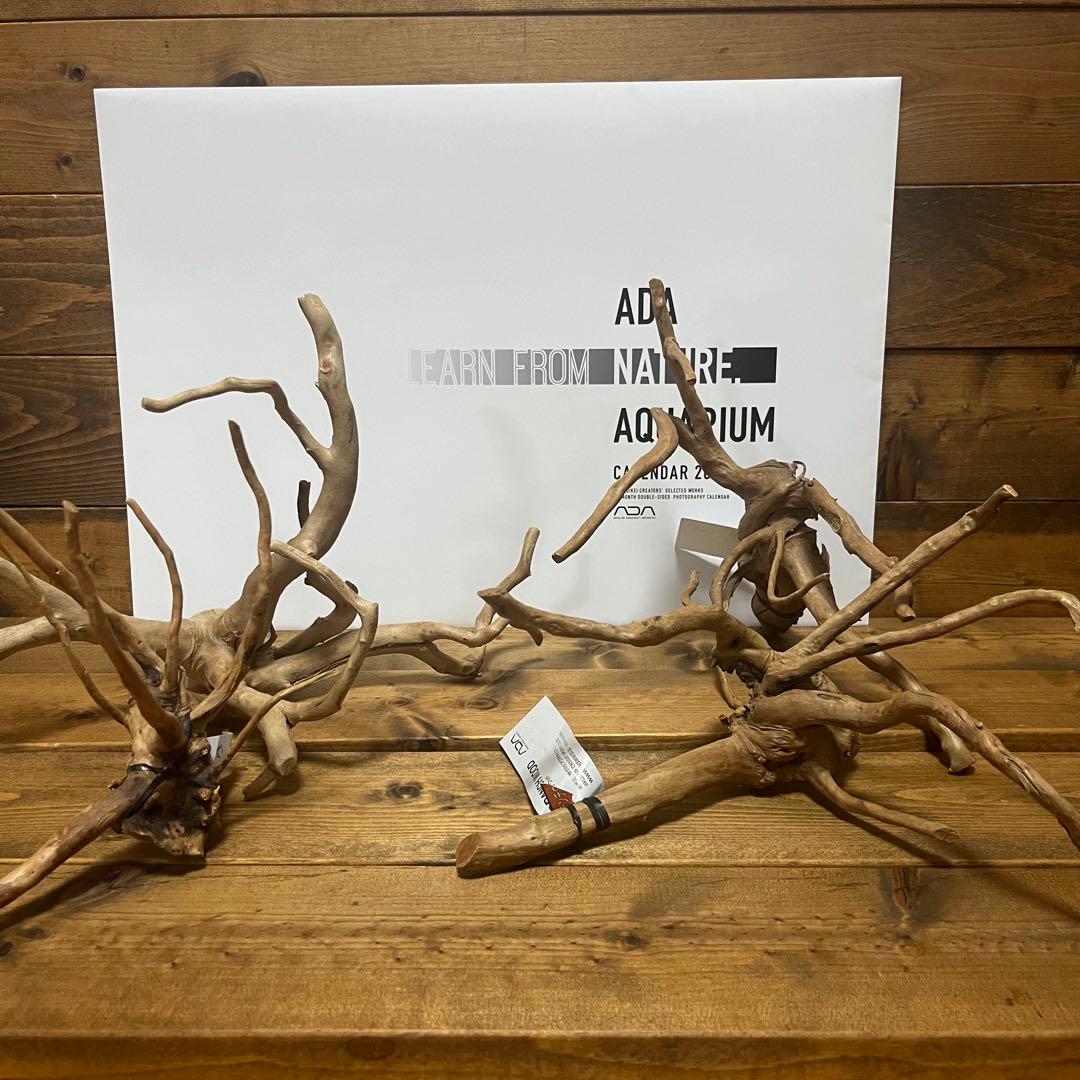 【厳選流木】　ADA社　ブランチウッド4本　2025年カレンダーおまけ付き