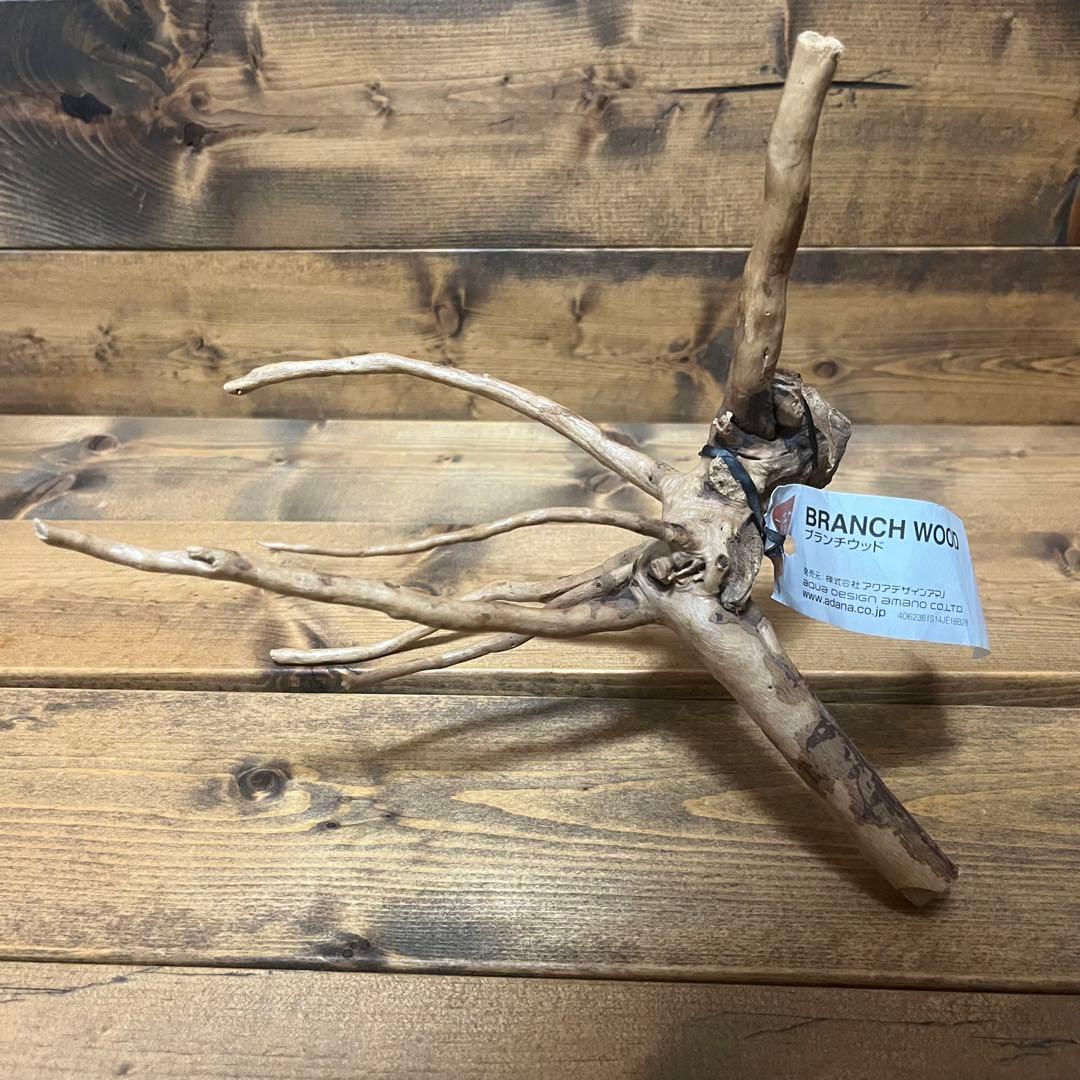 【厳選流木】　ADA社　ブランチウッド4本　2025年カレンダーおまけ付き