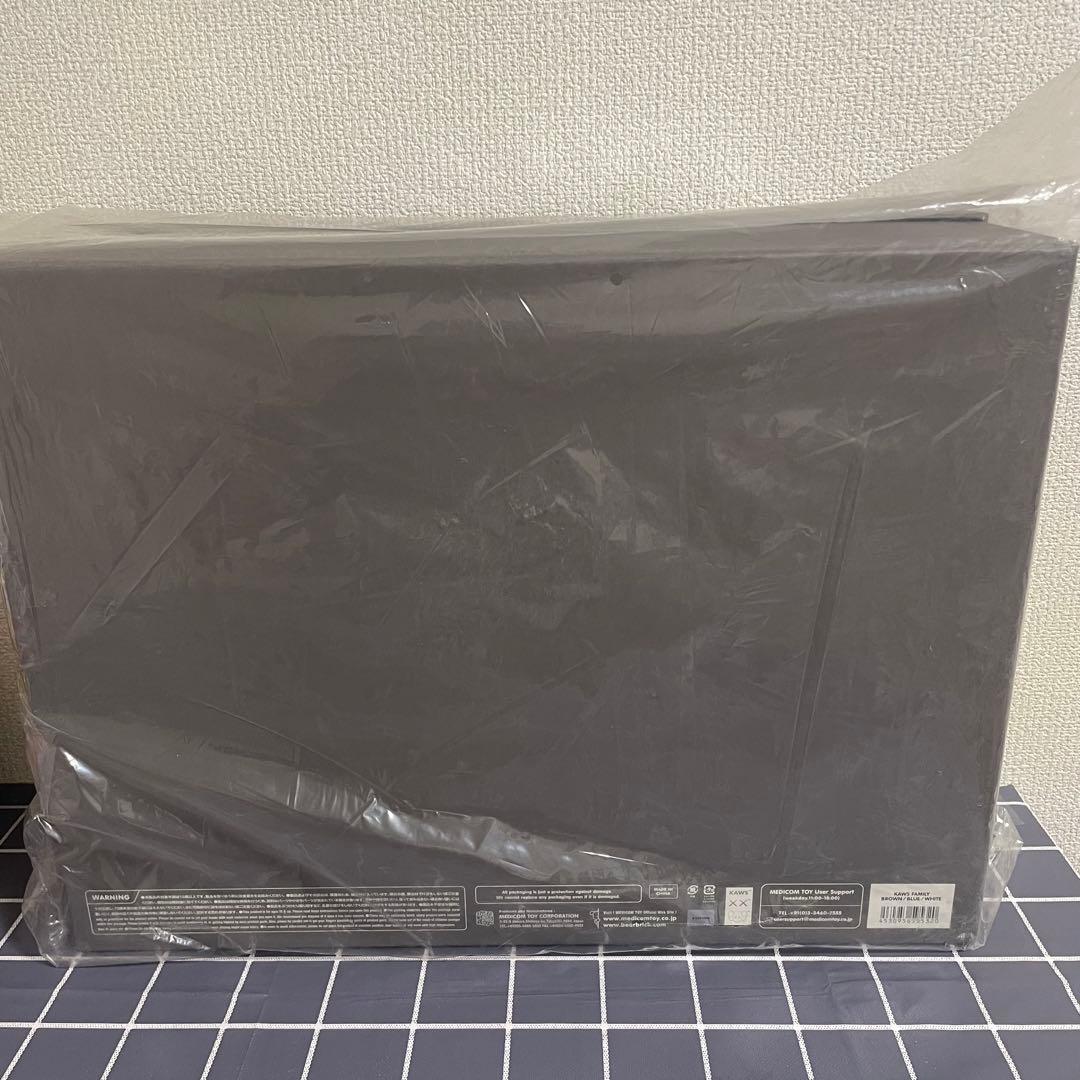 その他 KAWS FAMILY BROWN/BLUE/WHITE #1