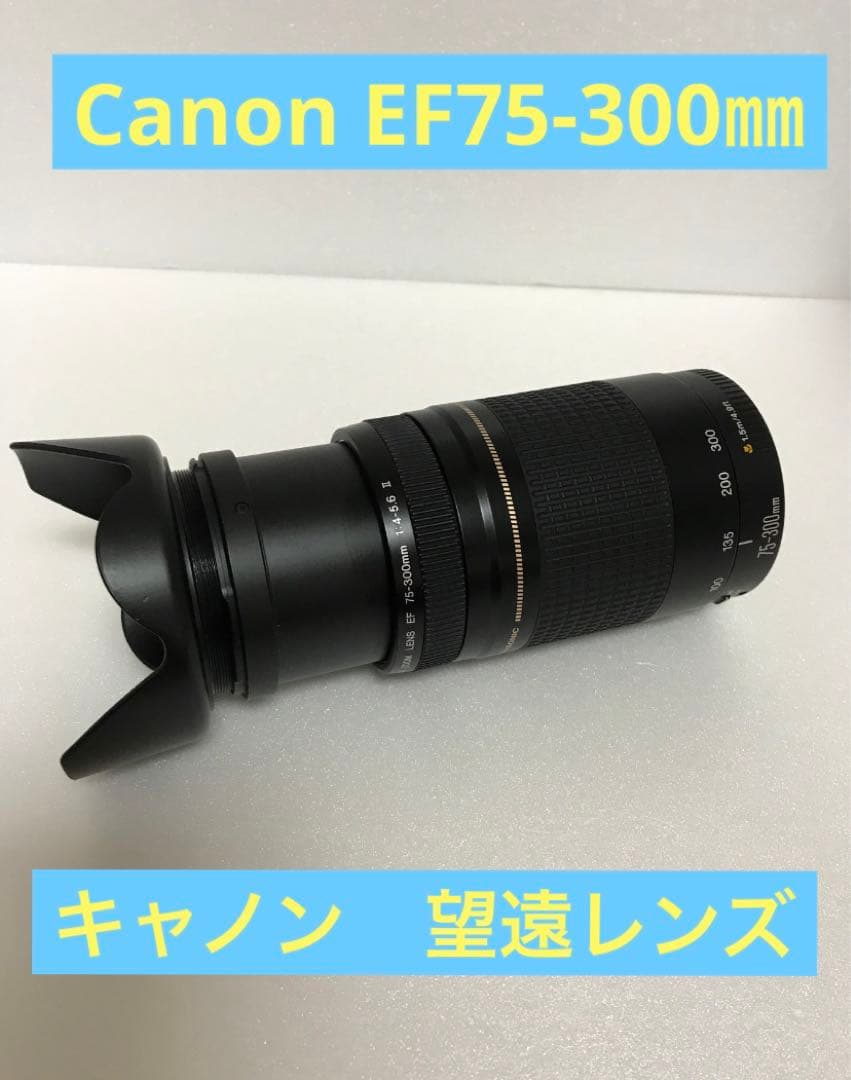 キャノン/イベント/運動会/Canon EF75-300㎜ F4-5.6 II