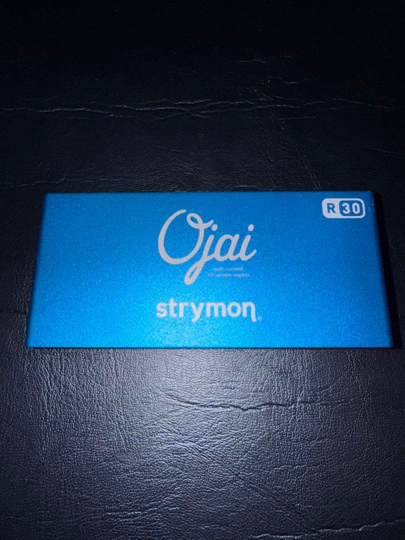 【オマケ付】strymon Ojai R30 エクスパンションキット