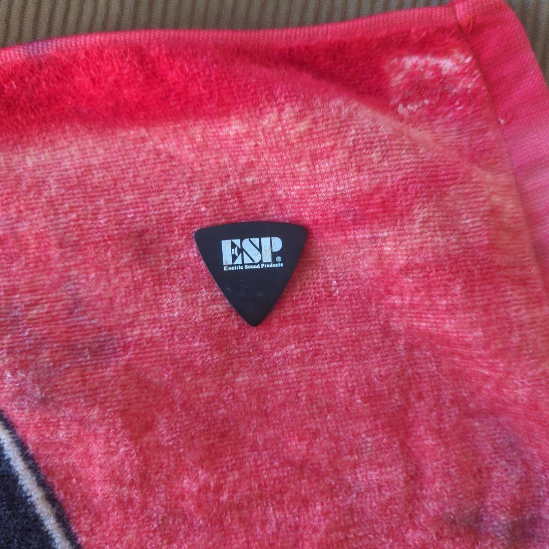 新年価格致します！Pizza of Death ３点セット