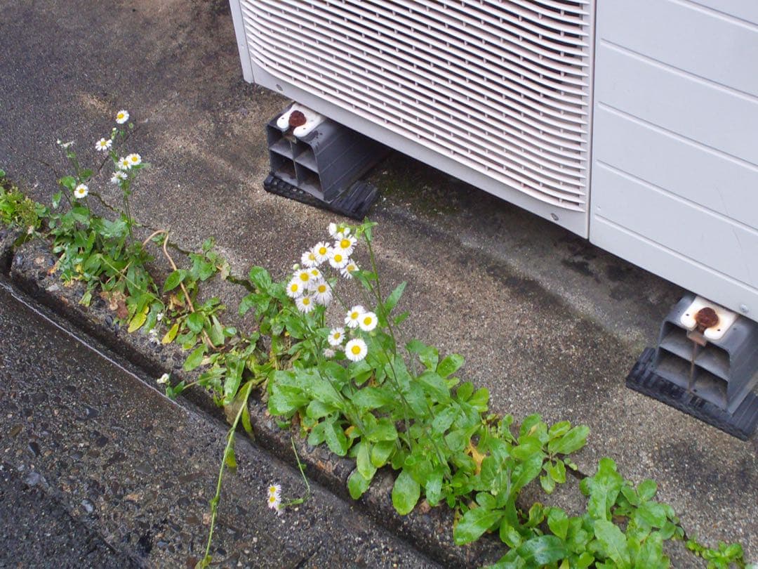 epoqued製　デジカメ epok オールドコンデジ